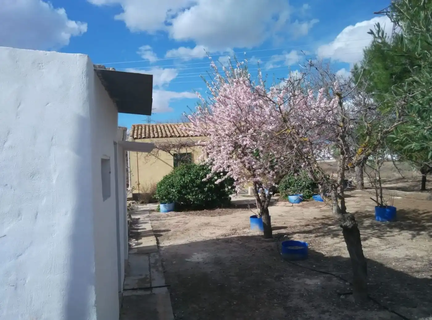 Piso en venta en Partida la Puentecilla 87, imagen 4