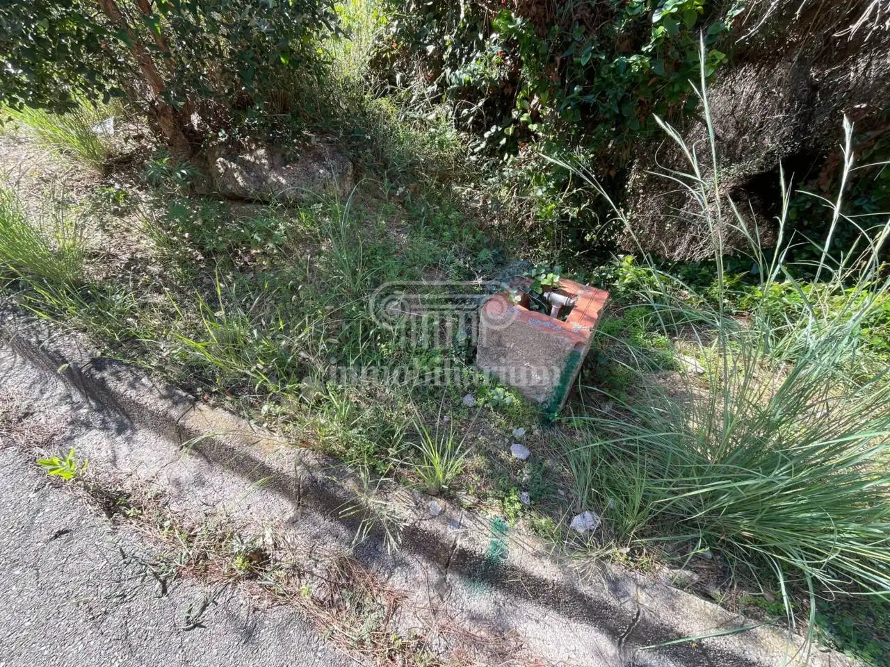 Rustikales Grundstück zum Verkauf in Versalles, imagen 5