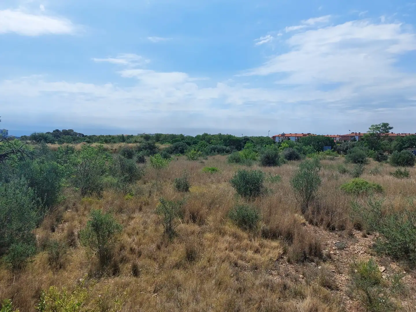 Fabrik Grundstücke zum Verkauf in Tarragona