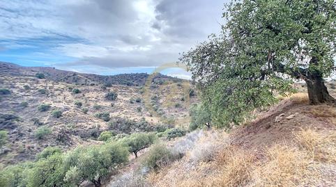 Foto 2 de Casa o xalet en venda a Poligono, Paraje de Castillejo, 32, El Cortijuelo, Málaga Capital