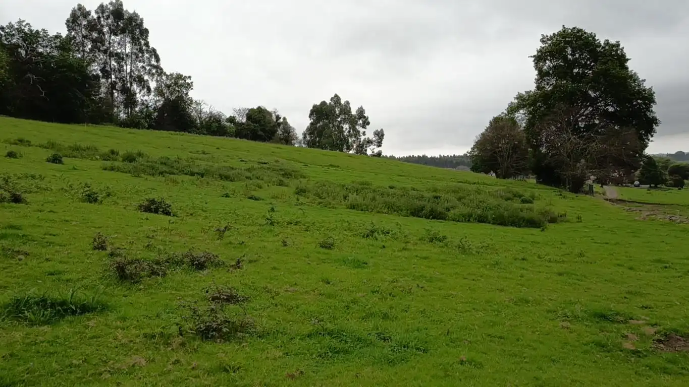 Grundstücke und Bauplätze zum Verkauf in Lugar Laguna, imagen 11