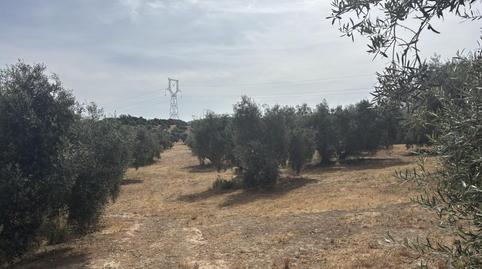 Photo 5 of Industrial buildings for sale in Diseminado Poligono 169, 29, Bobadilla - Bobadilla Estación - La Joya, Antequera