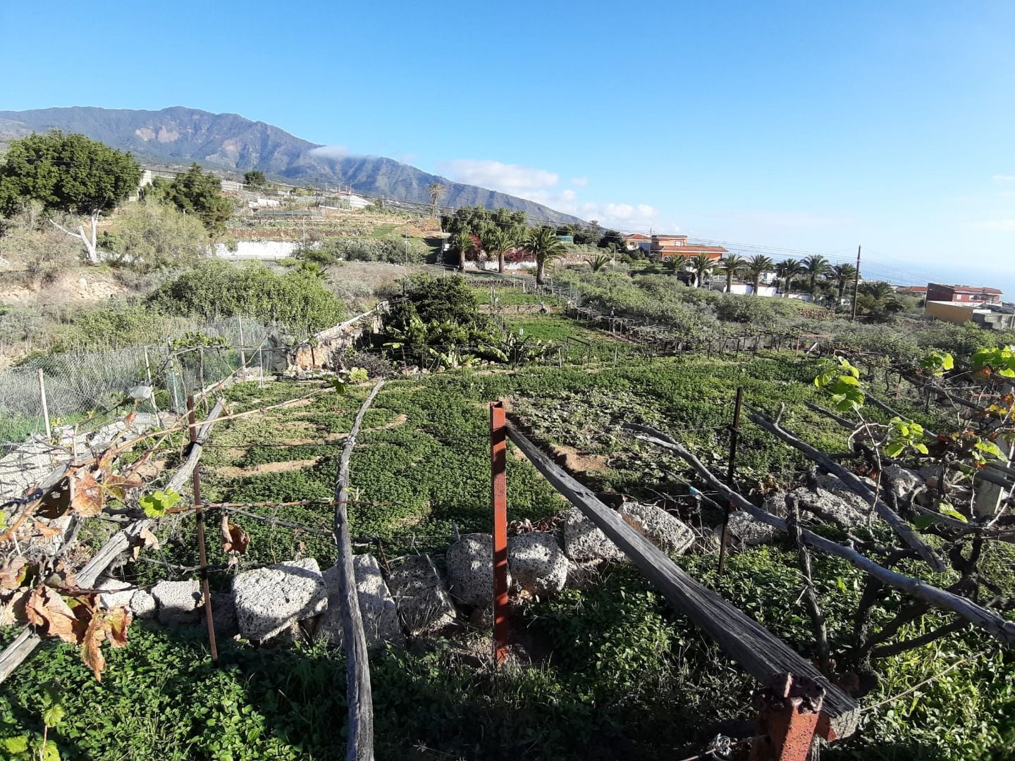 Terreny en venda en Arafo