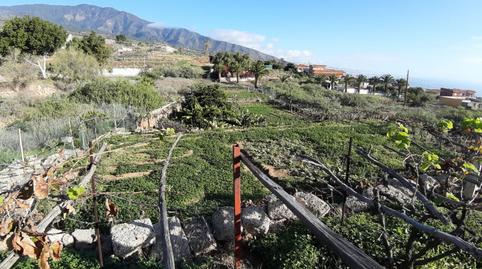 Foto 3 de Terreny en venda a Tf-245, 38, Arafo, Santa Cruz de Tenerife