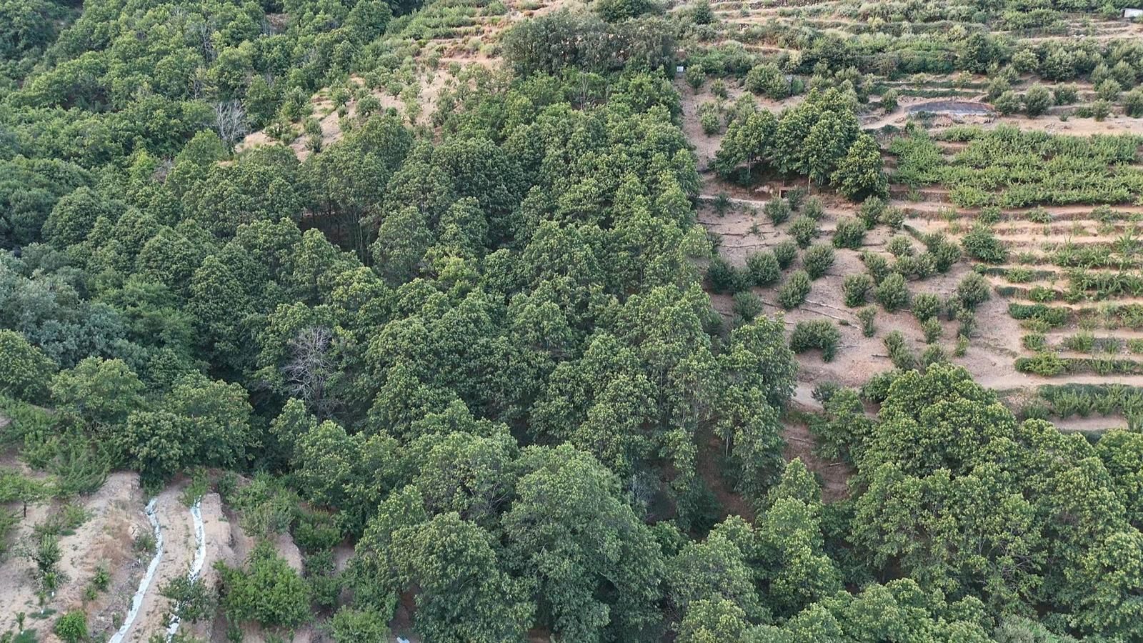 Grundstücke zum verkauf in Navaconcejo