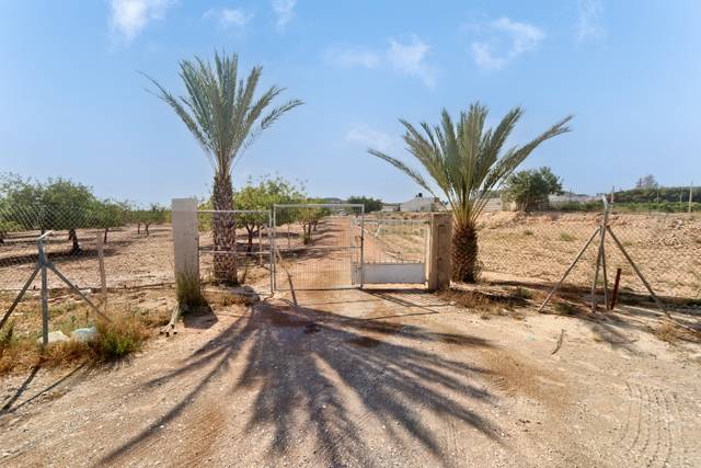 Terreno en Venta en FONT CALENT, HACIENDA DE CASAS DE SAN JUAN, -1 en Fontcalent