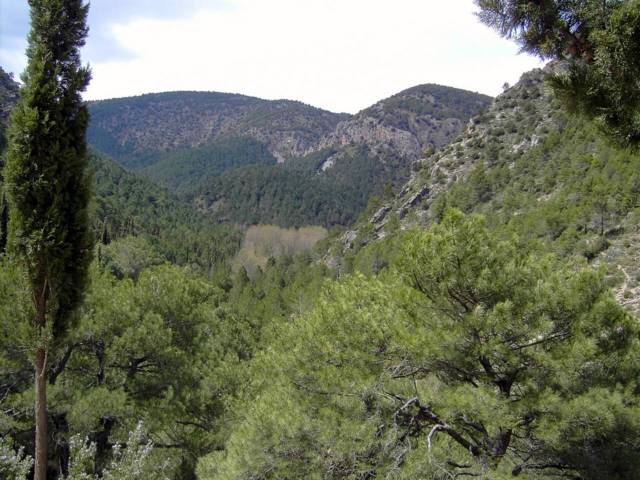 Terreno residencial en Venta en El Toro en Pina de Montalgrao