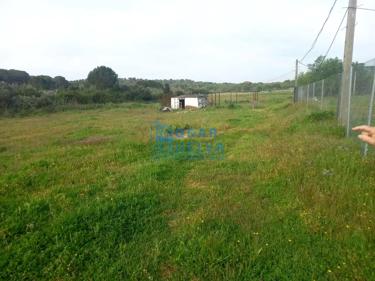 Terreni e lotti in vendita a ALJARAQUE