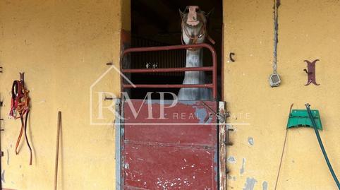 Foto 4 de Finca rústica en venta en Fogars de la Selva, Barcelona