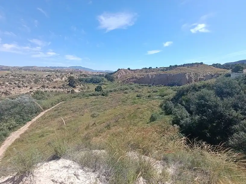 Lands and plots for sale in Mula, imagen 17