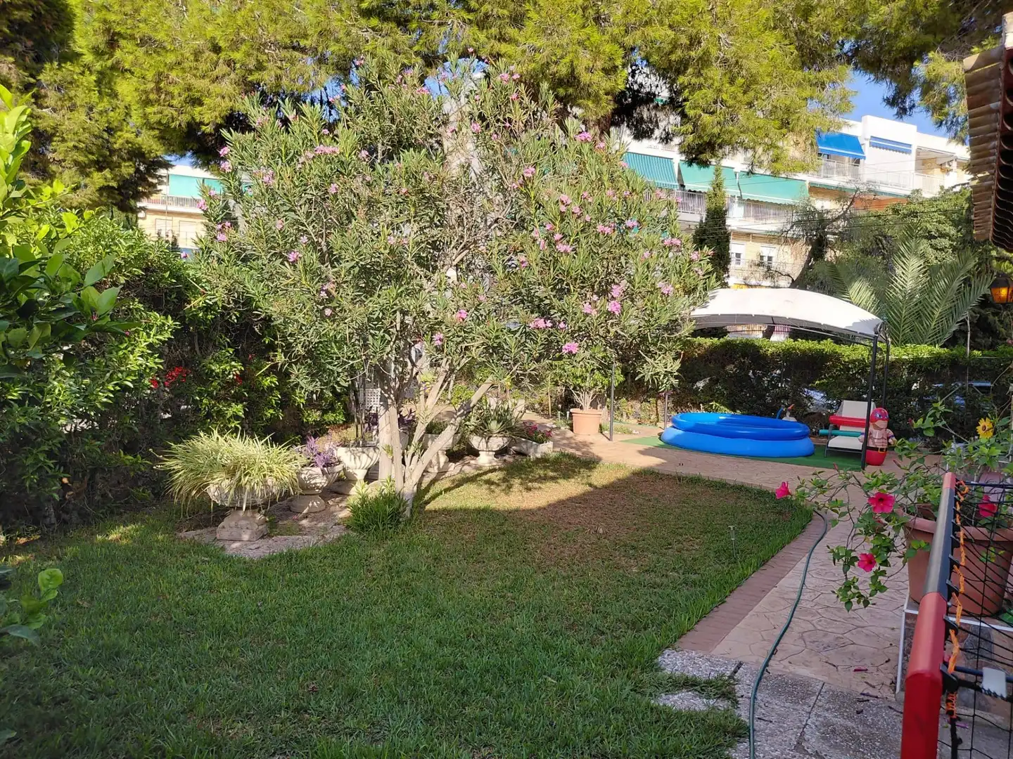 Garden of Houses for sale in Orihuela