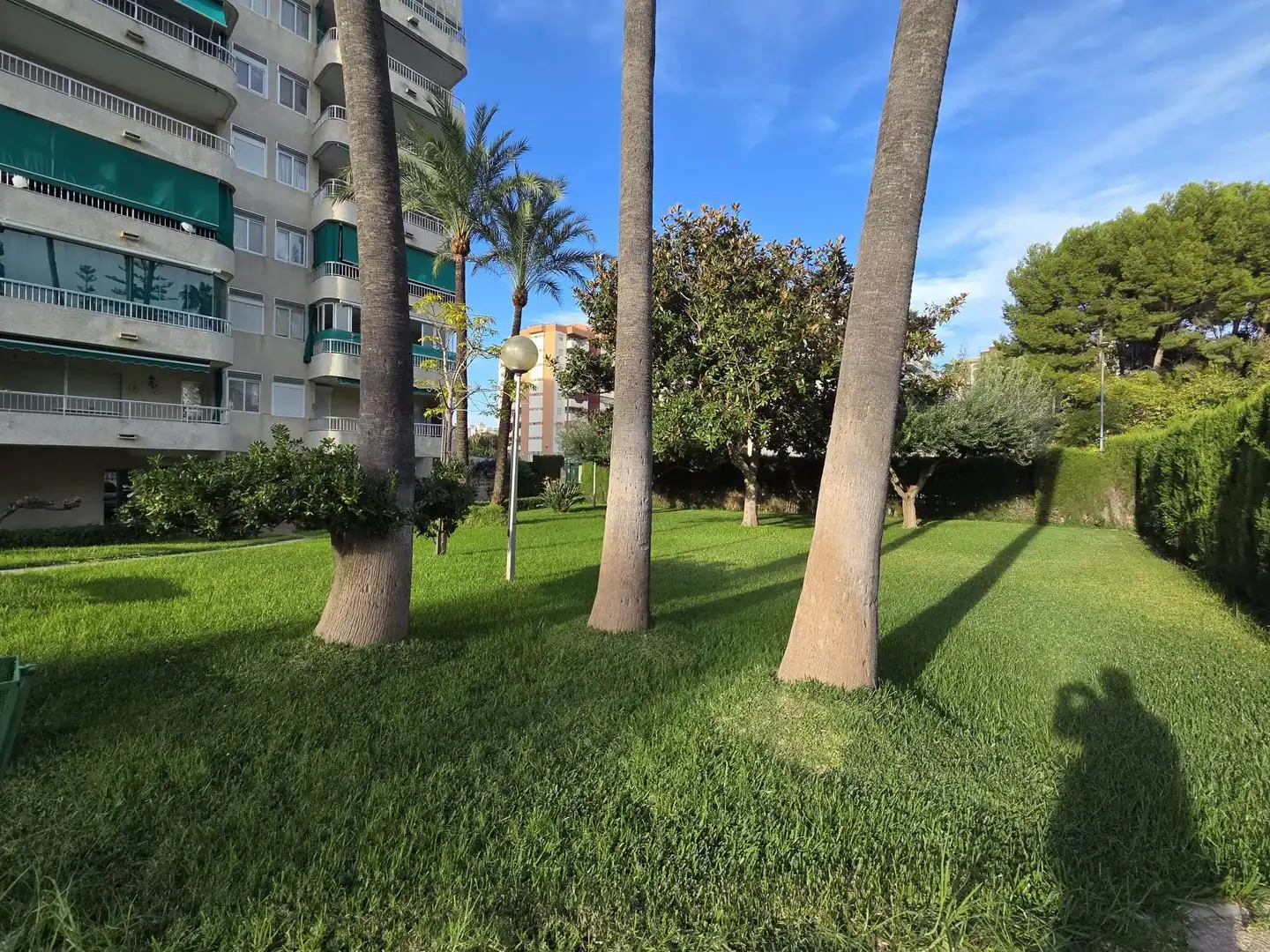 Vista exterior de Àtic en venda en Gandia amb Calefacció, Jardí privat i Terrassa
