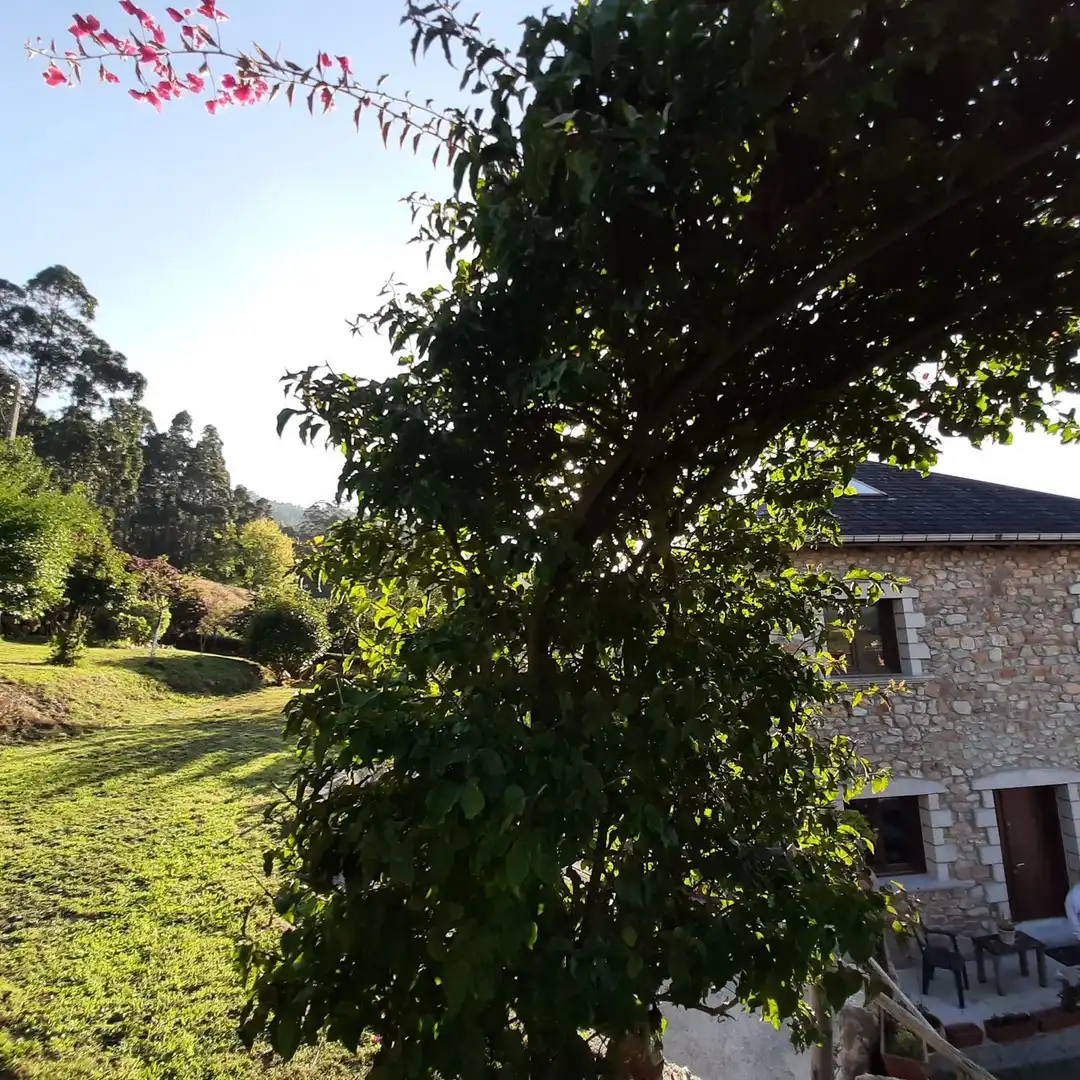 Xalet amb jardí en venda a Calle Doutor Llisterri 37, imagen 29