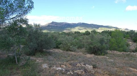 ¡Immomax Ebre presenta esta finca rústica en venta en Aldover! Con un extenso terreno de 33,072 m2, este pedazo de paraíso rural e, imagen 3