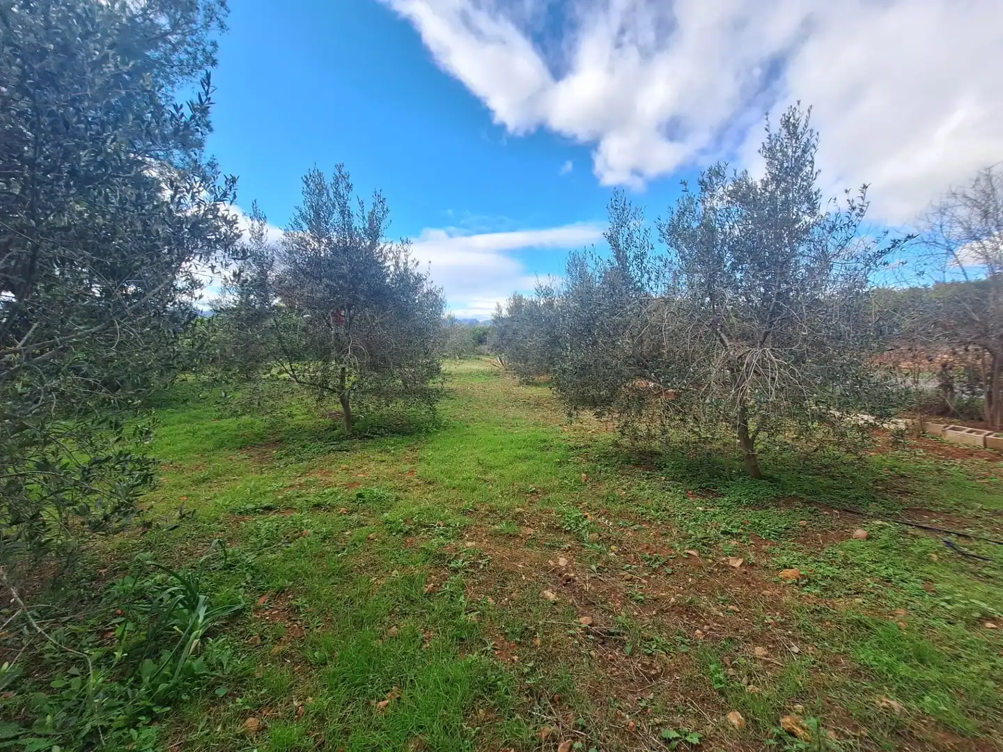 Finca rústica en venda en Alfara de la Baronia amb Aire condicionat, Jardí privat i Moblat