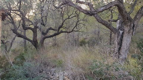 Suelo agrícola en venta en El Pinell de Brai, immagine 4