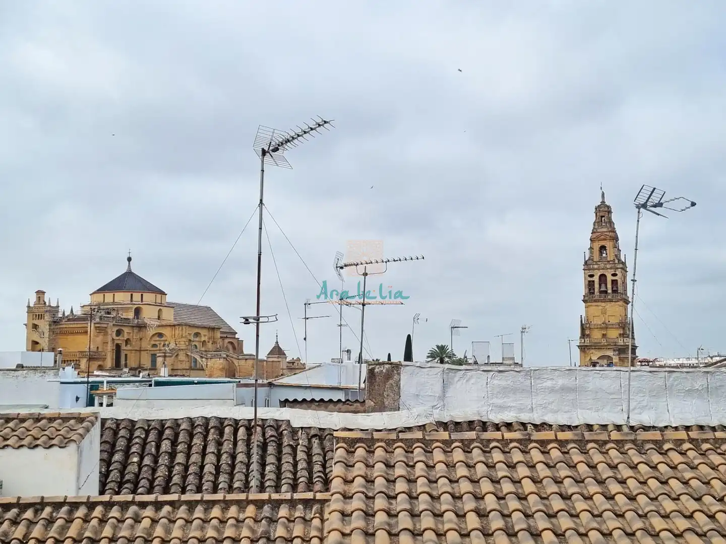 House with terrace for sale in Centro, imagen 41