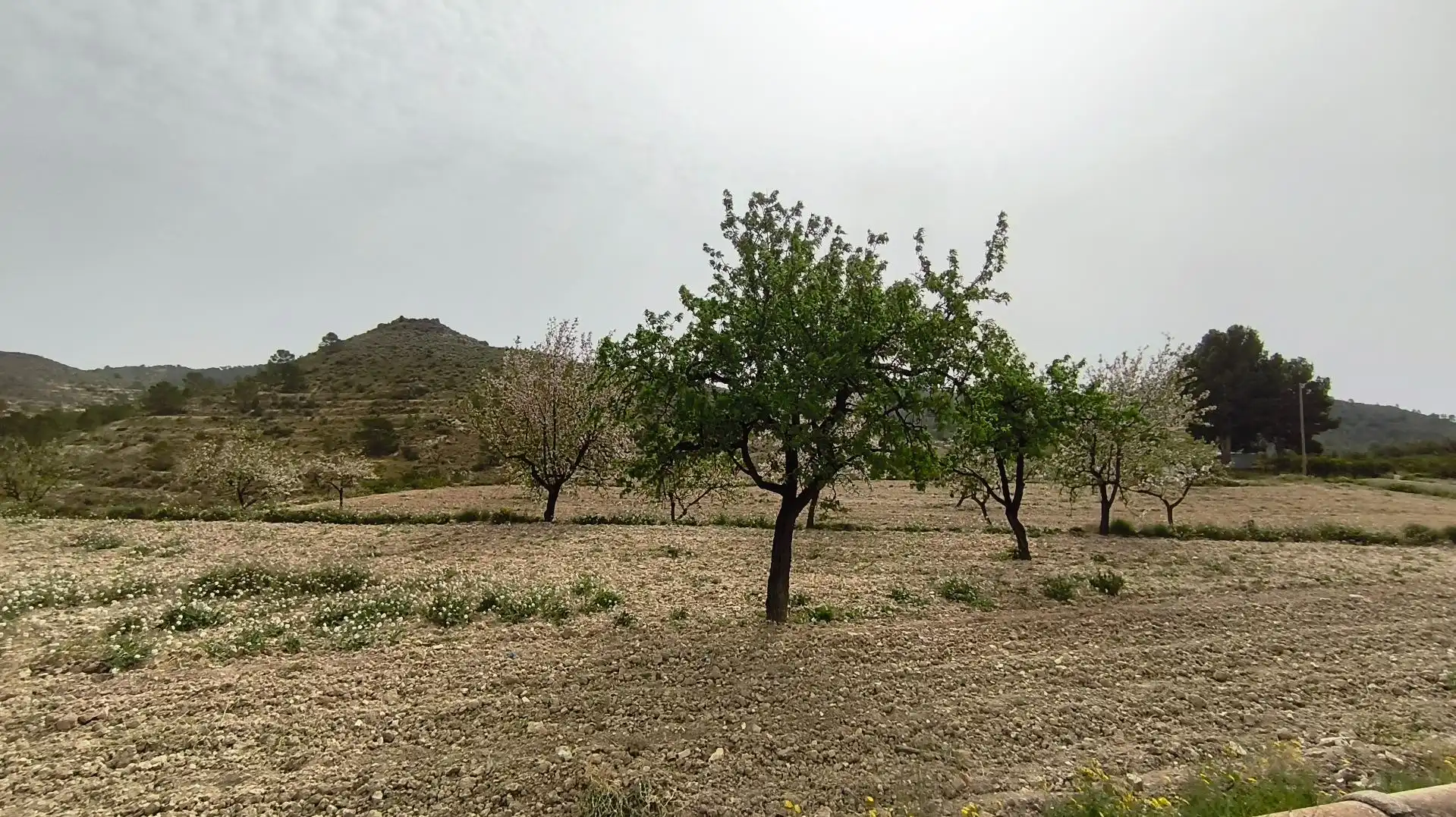 Finca rústica en venta en Aigües con Jardín privado