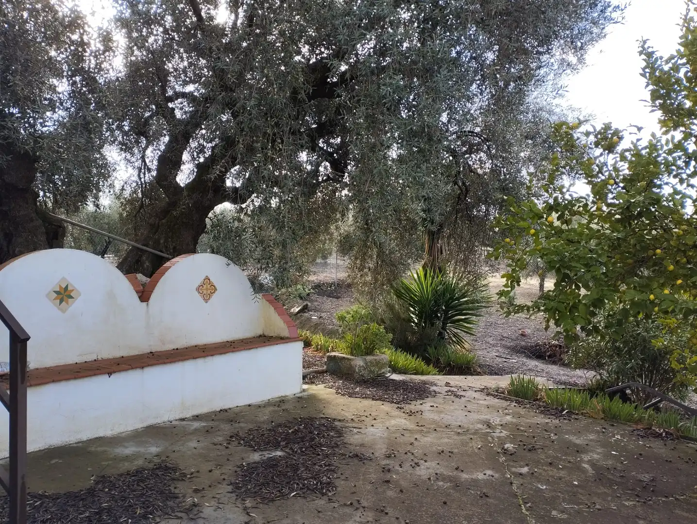 Jardín de Finca rústica en venta en Cabra