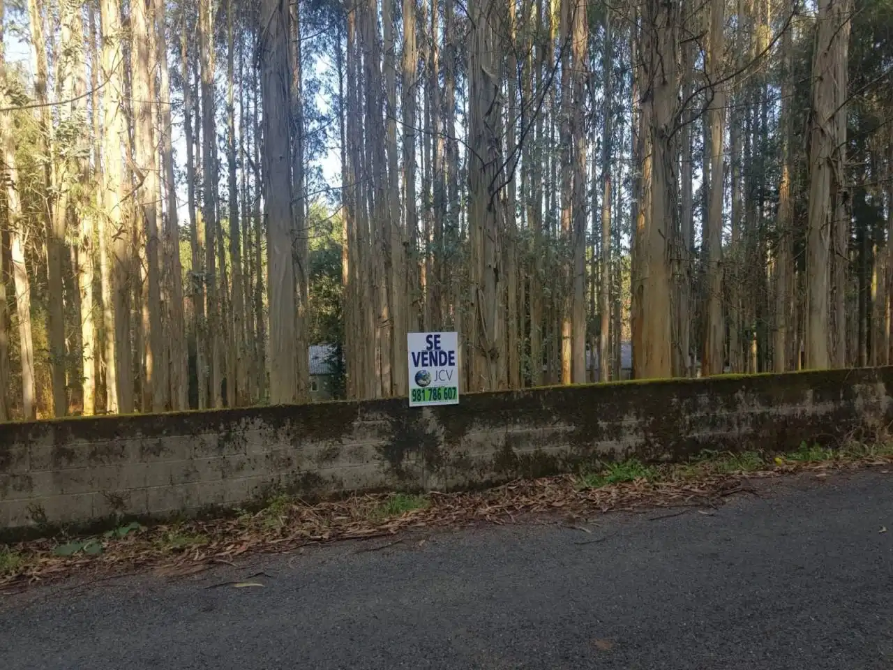 Rural land for sale in Mesía, imagen 2