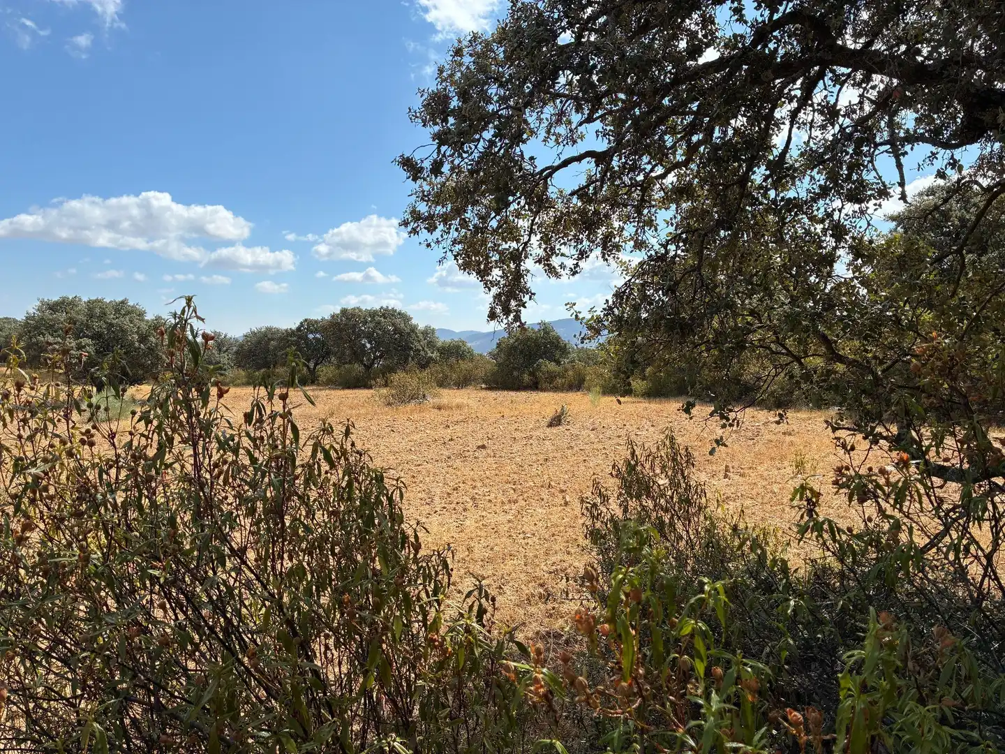 Rural land for sale in Mohedas de la Jara, imagen 7