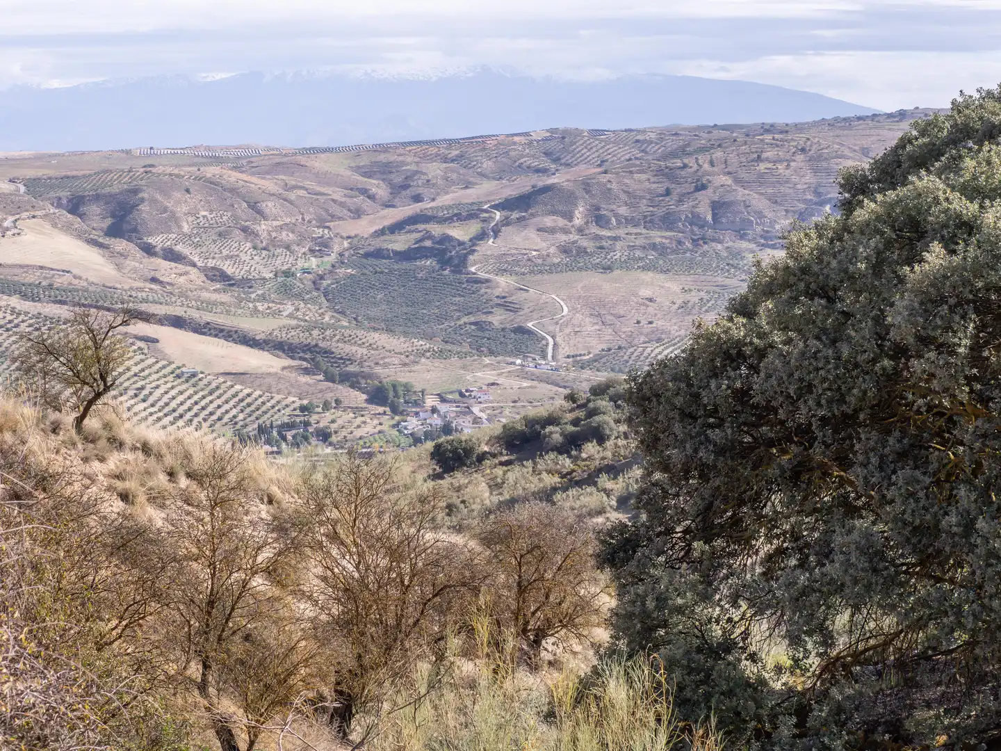 Außenansicht von Grundstücke zum Verkauf in Alhama de Granada
