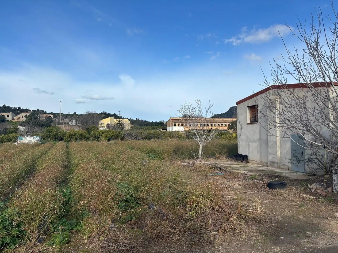 Terrain rustique à vendre à Xerta, imagen 6