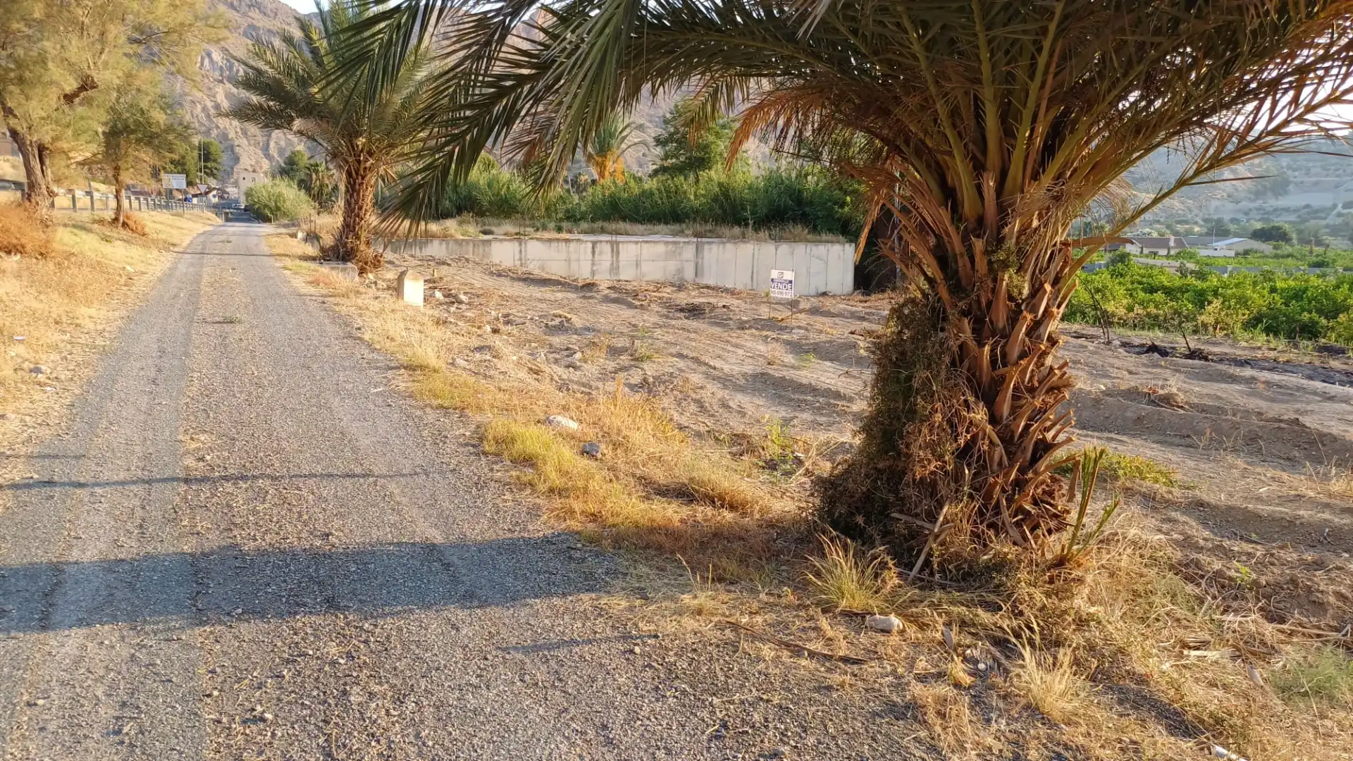 Rural land for sale in Avenida Reina Sofía 2