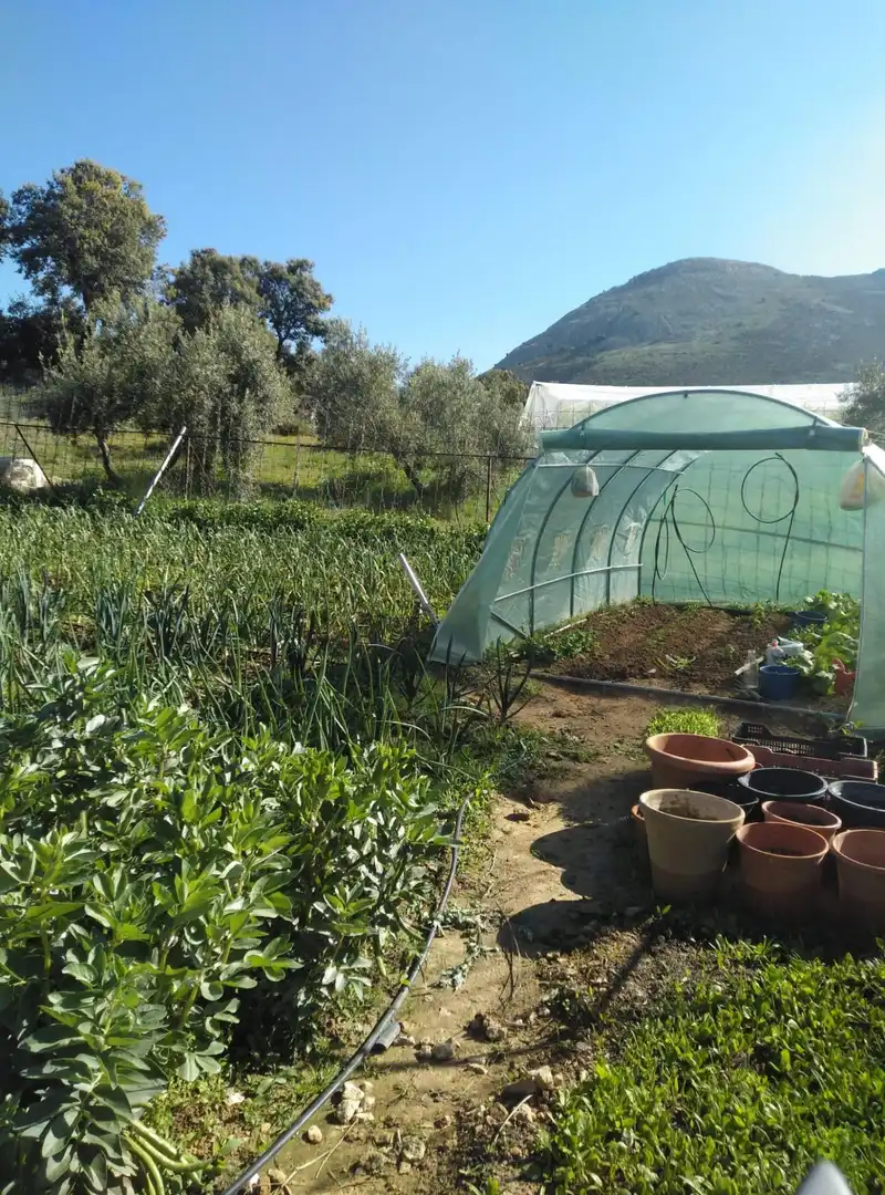 Maison rustique avec jardin à vendre à Cogollos de la Vega, imagen 92