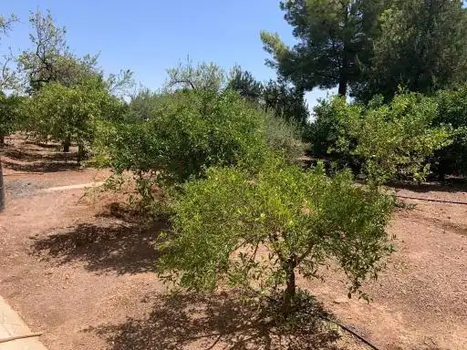 Villa con piscina in vendita a Totana, imagen 28