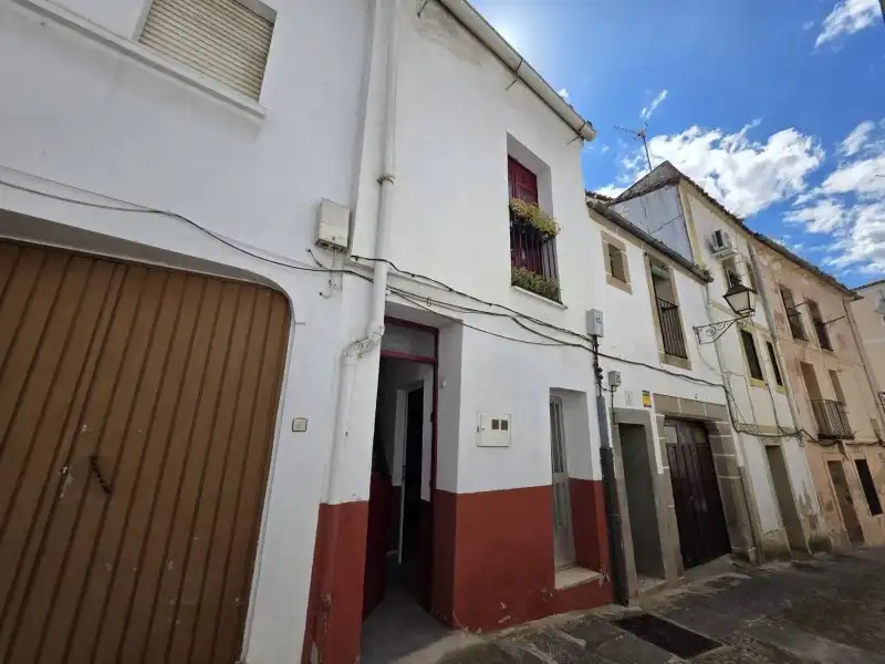 Vista exterior de Casa o chalet en venta en Plasencia con Jardín privado y Terraza