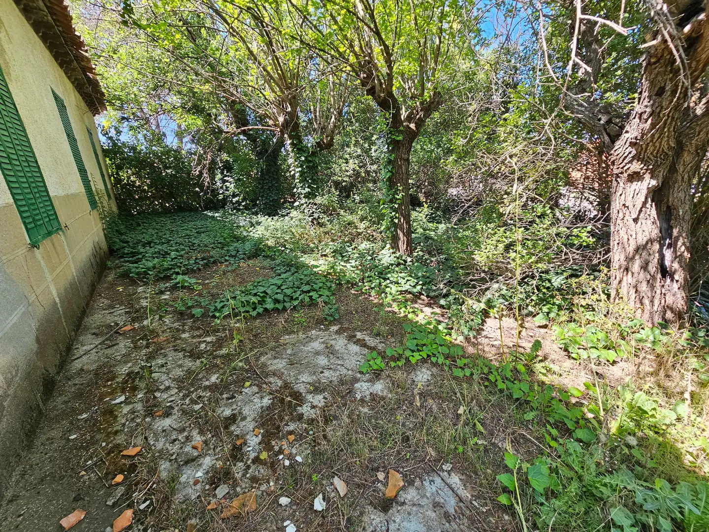 Country homes for sale in Torrelaguna