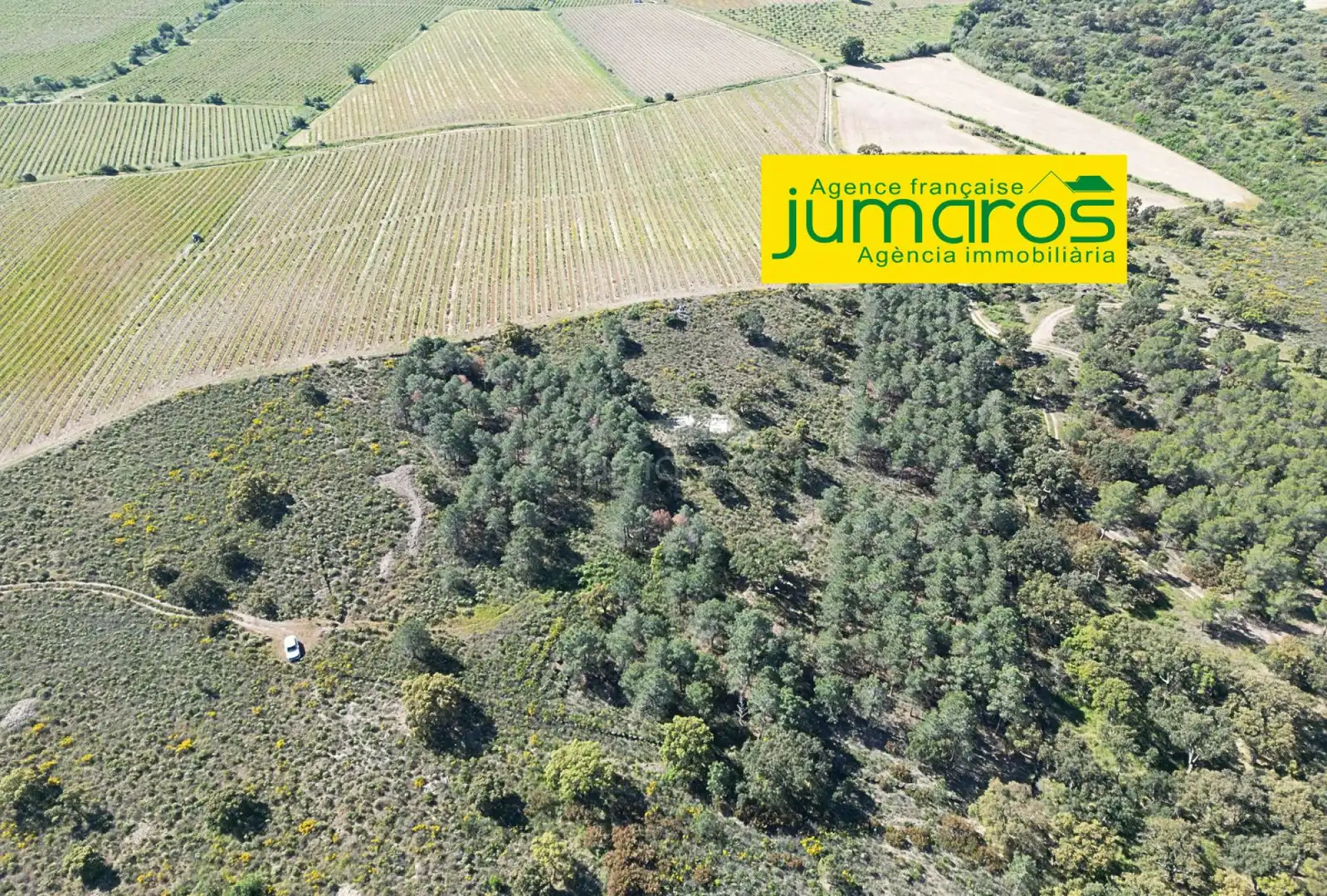 Terrenys i solars en venda a Garriguella
