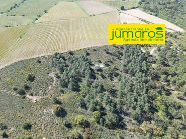 Terreni e lotti in vendita a Garriguella