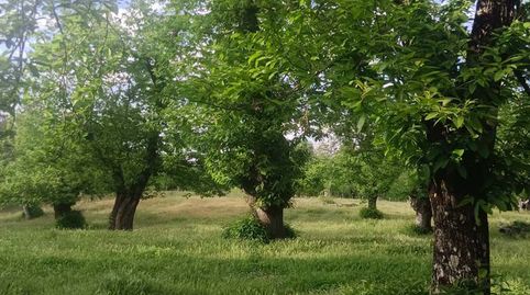 Foto 2 de Finca rústica en venta en Aracena, Huelva