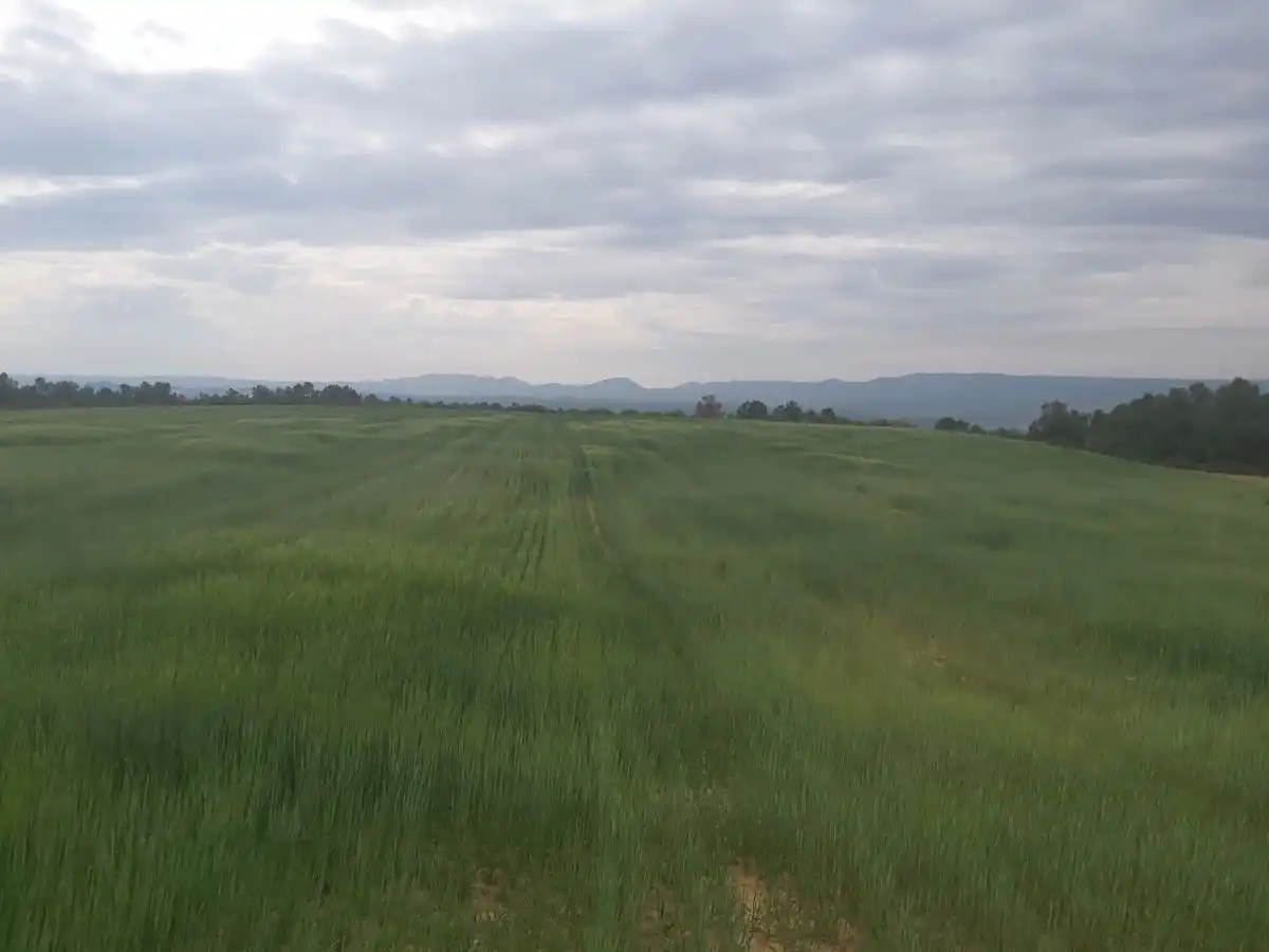 Finca rústica en venta en Seròs