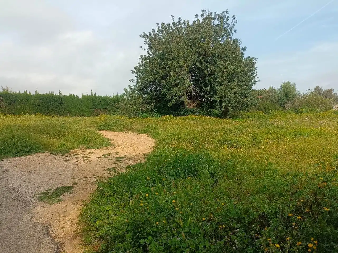 Residential land for sale in C. Charcos Secos, imagen 8