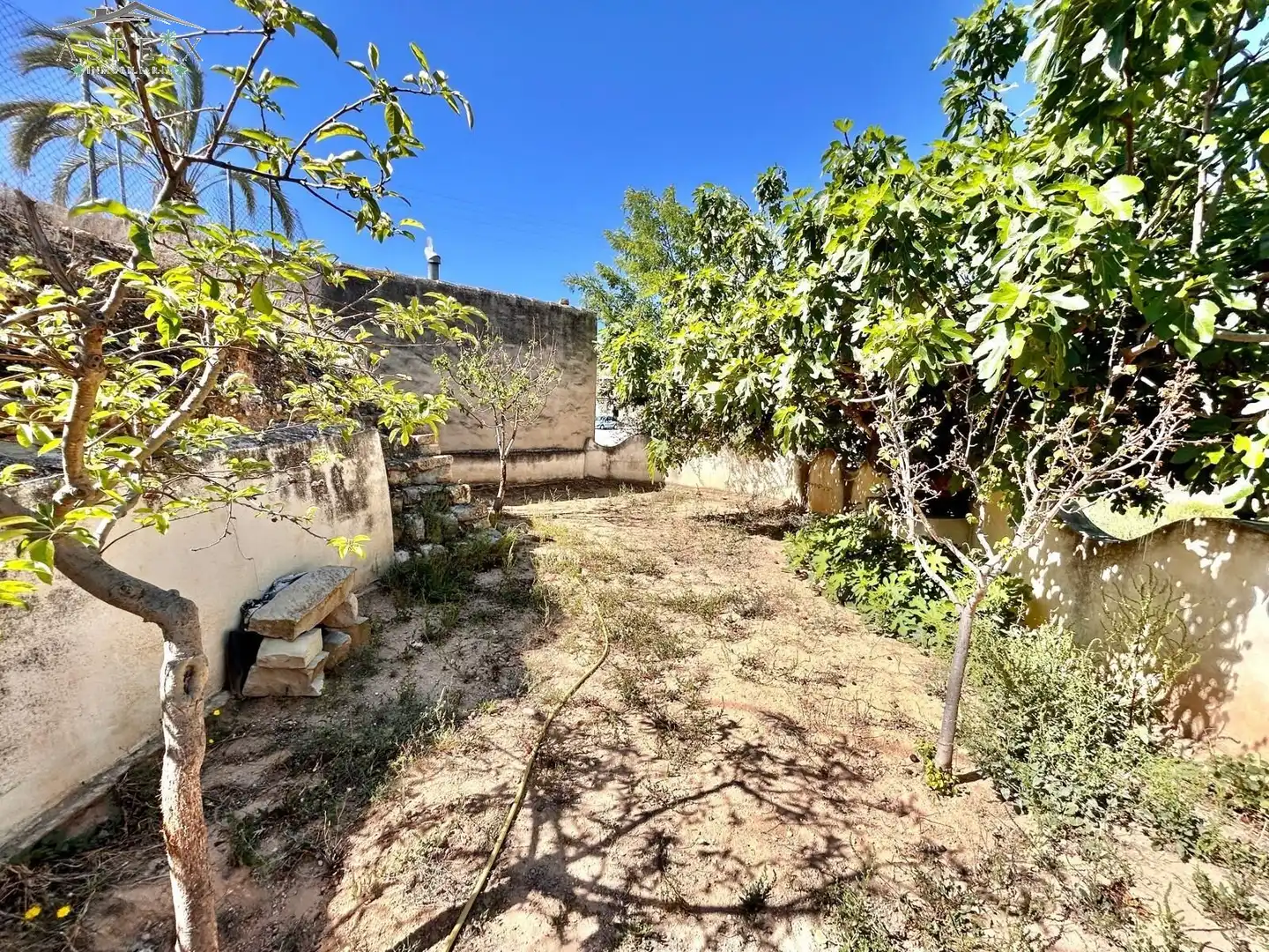 Casa rustica con giardino in vendita a Monóvar  / Monòver, imagen 15