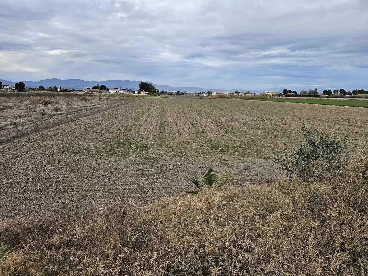 Terreny rústic en venda a Carretera dolores