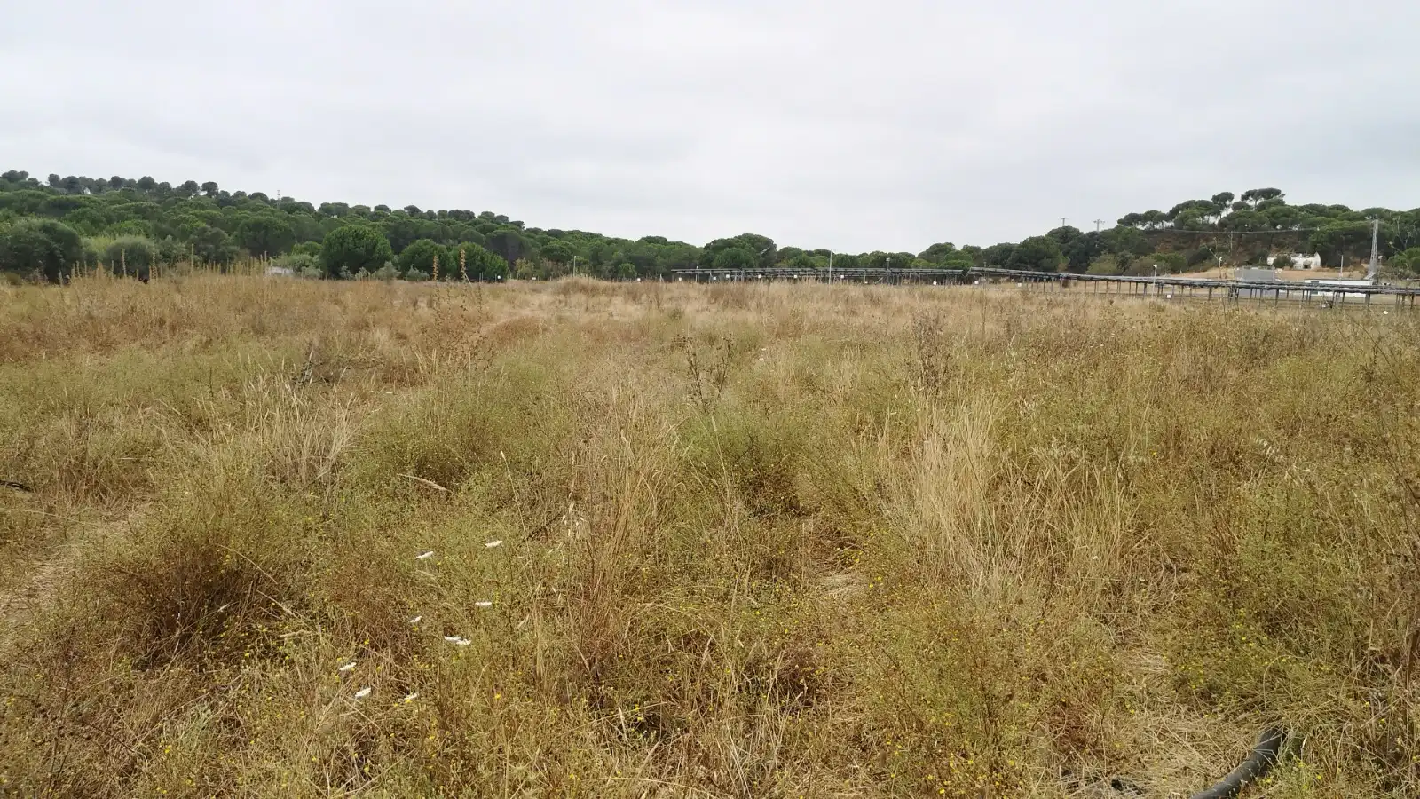 Terrenos y solares en venta en Núcleo urbano