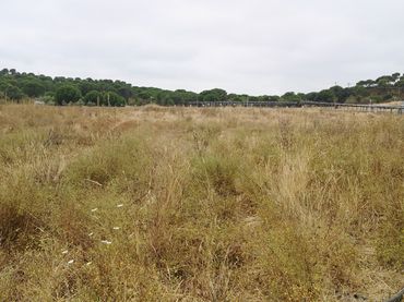 Rustikales Grundstück zum Verkauf in Núcleo urbano