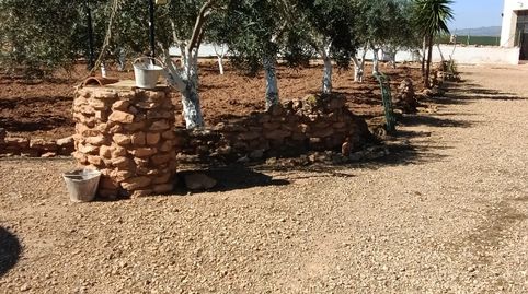 Foto 5 de Finca rústica en venta en Pasaje Perez, 29, La Pinilla - Las Palas, Fuente Álamo de Murcia