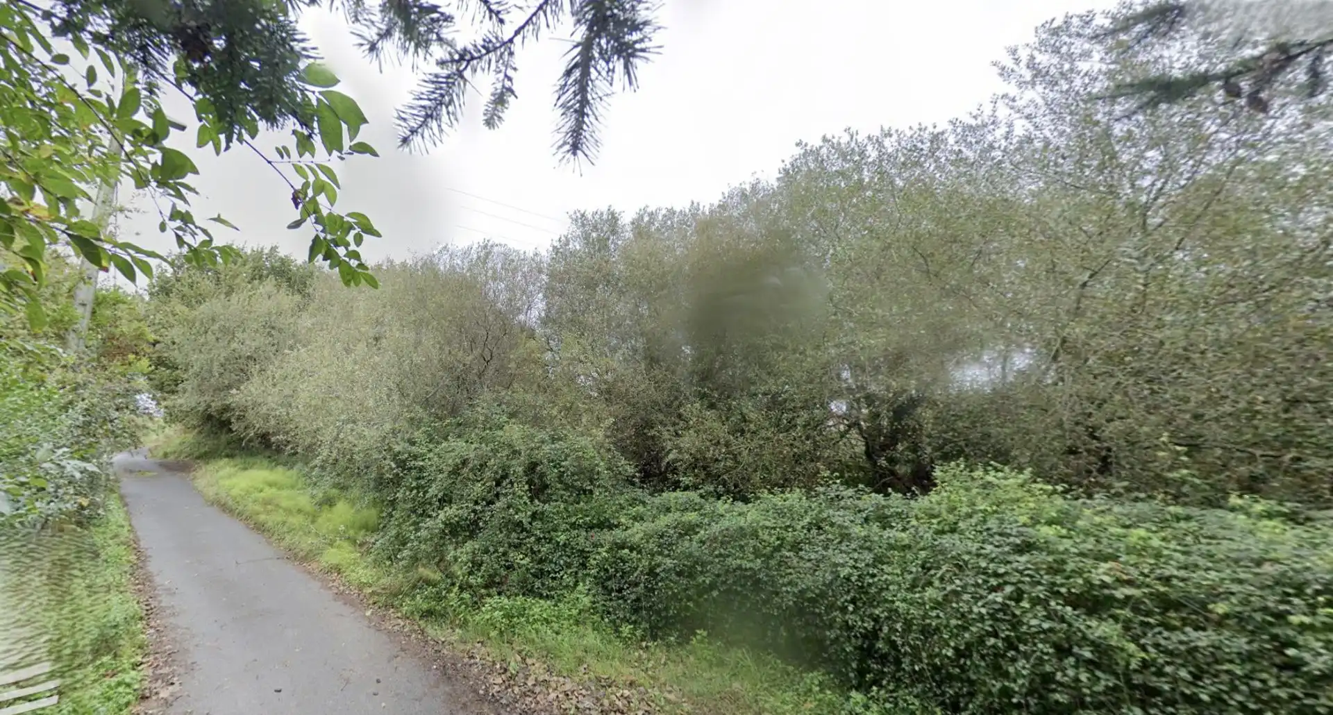 Lands and plots for sale in Santa María de Getxo, imagen 19