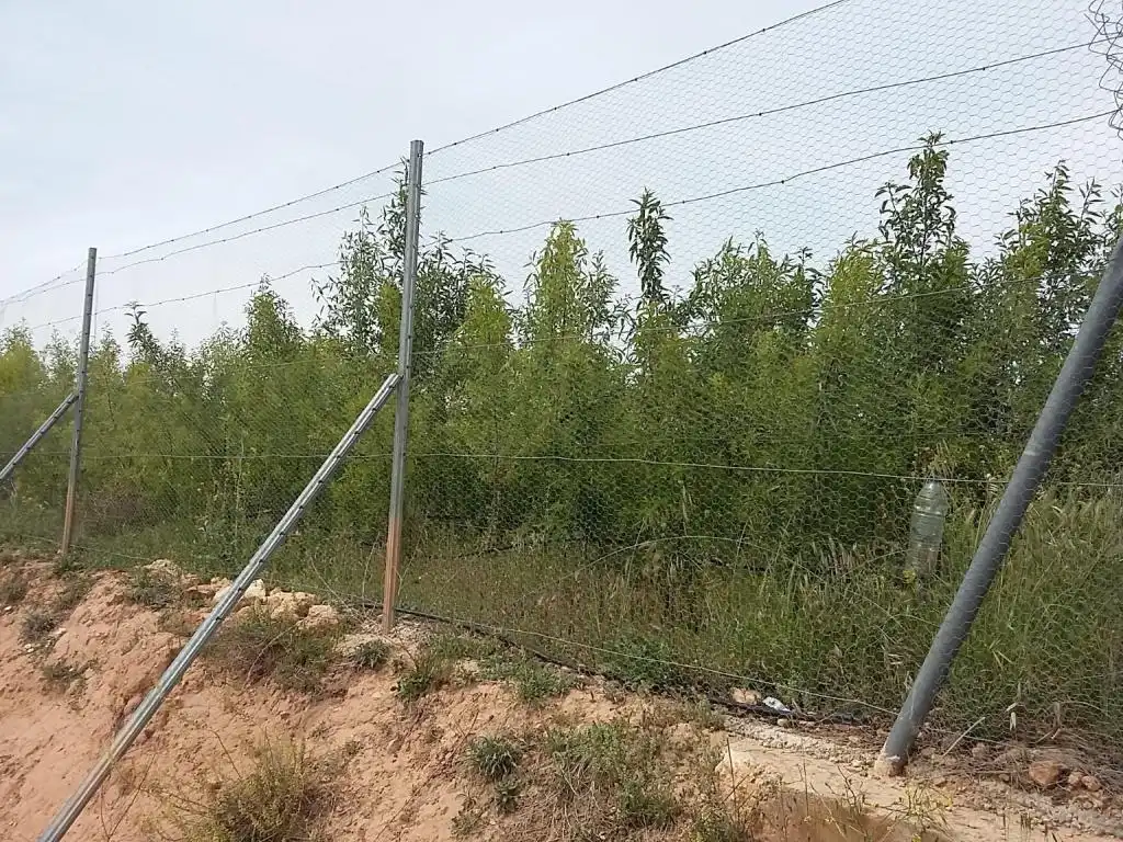 Terreny rústic en venda a POLIGONO, imagen 5