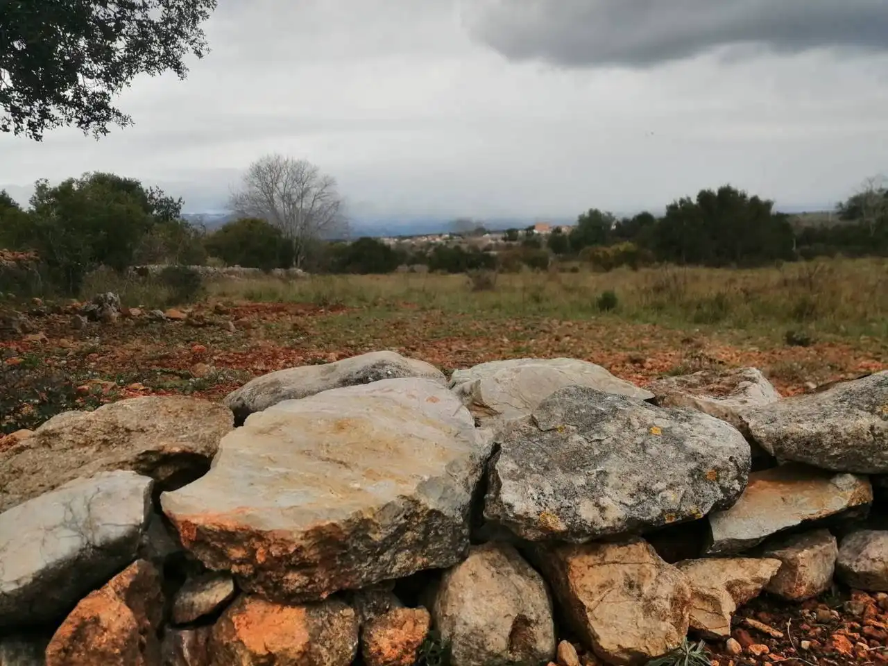 Rural land for sale in Calle Camino de Godall, imagen 5