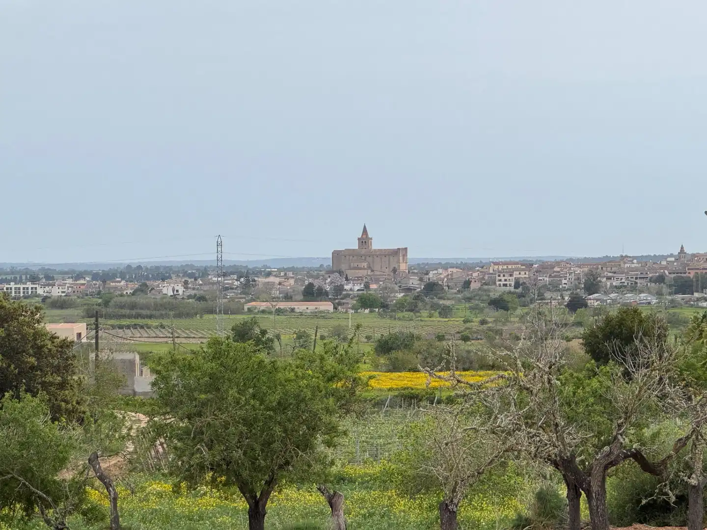 Rustikales Grundstück zum Verkauf in Camino Camí Vell de Porreres 2, imagen 10