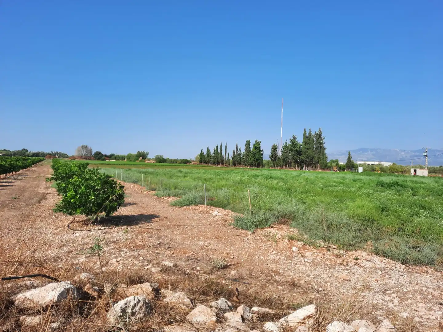 Rustikales Grundstück zum Verkauf in Santa Bàrbara, imagen 8