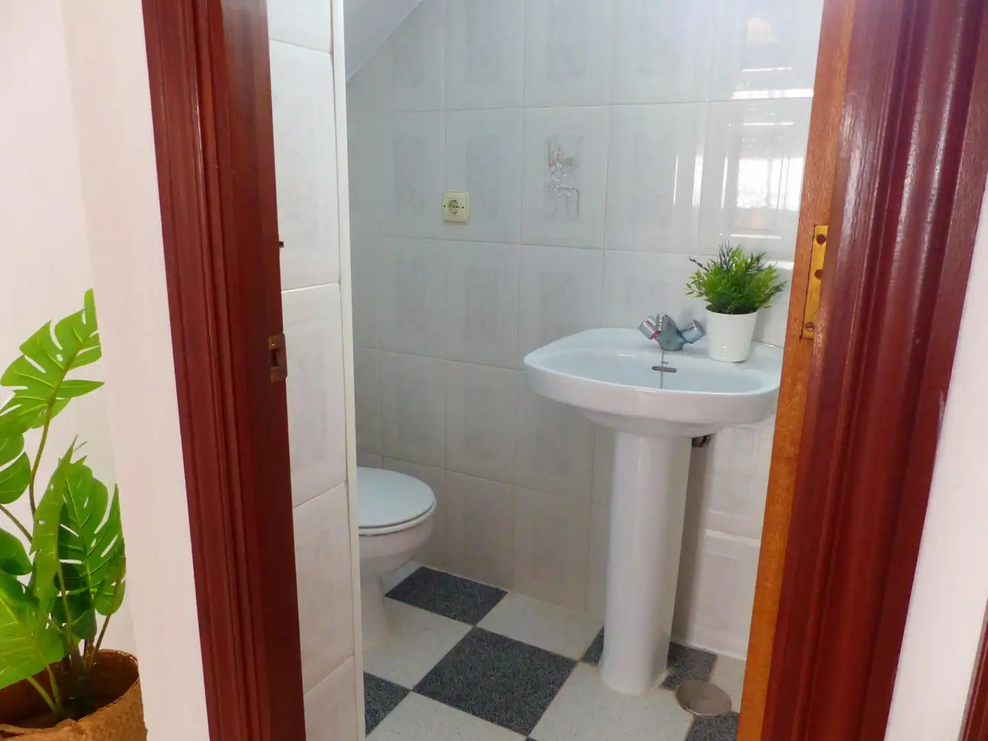 Habitatge amb terrassa en venda a CRUZ ROJA, imagen 17