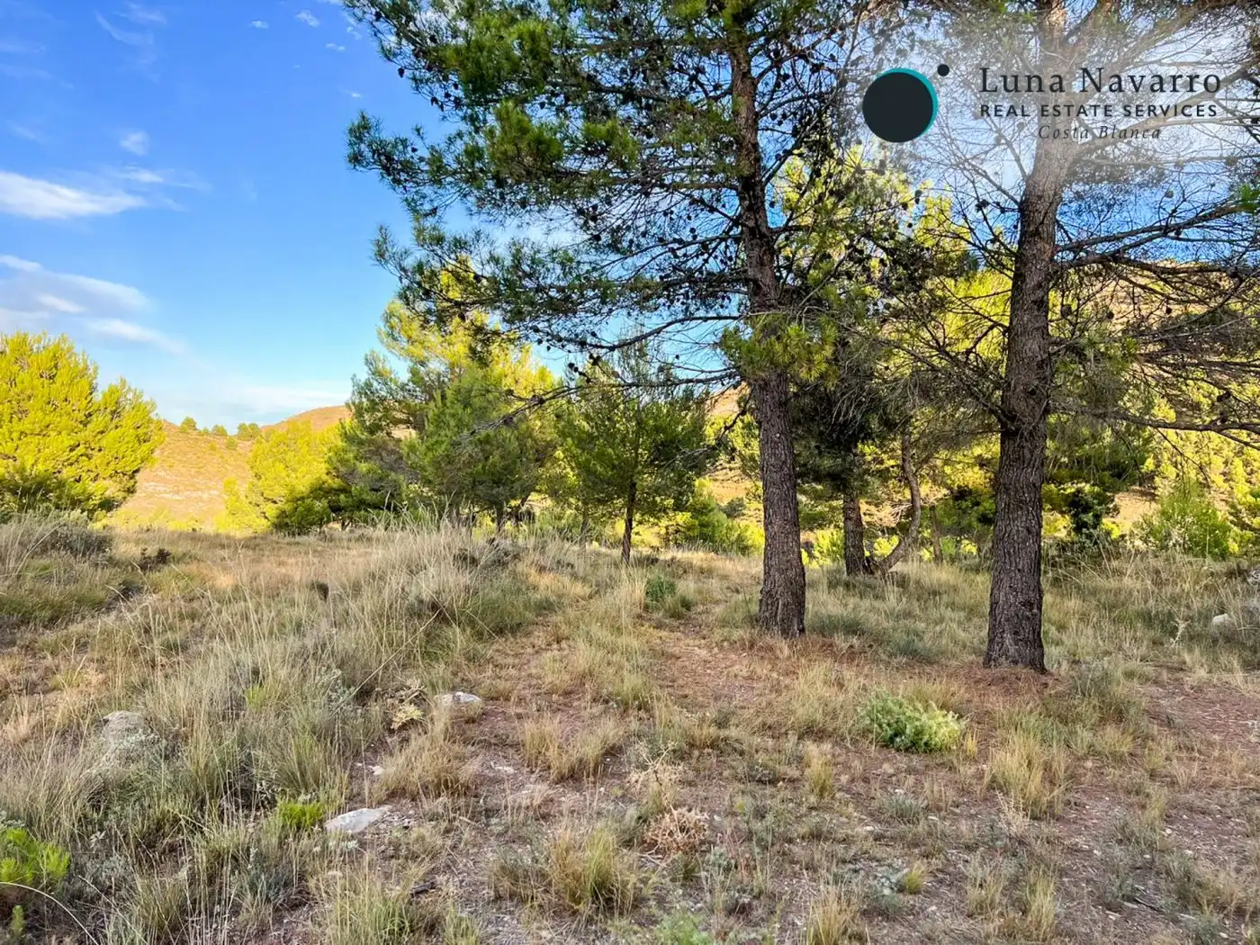 Terreno en venta en Calle San Antonio, 50, Confrides