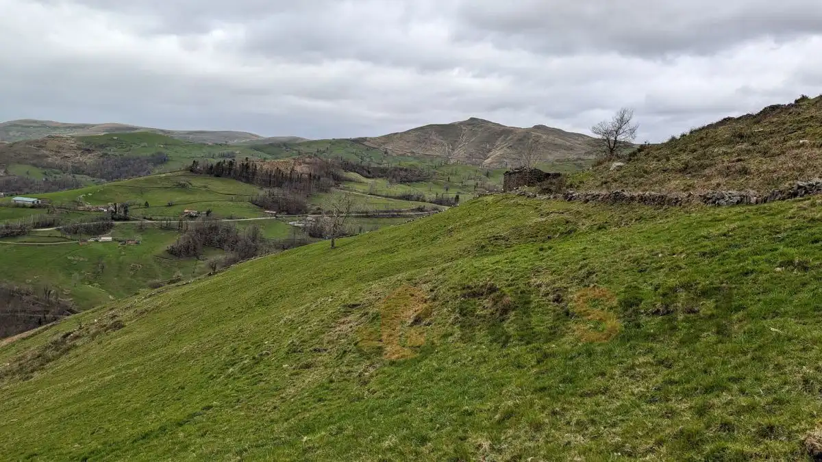 Finca rústica en venta en Selaya